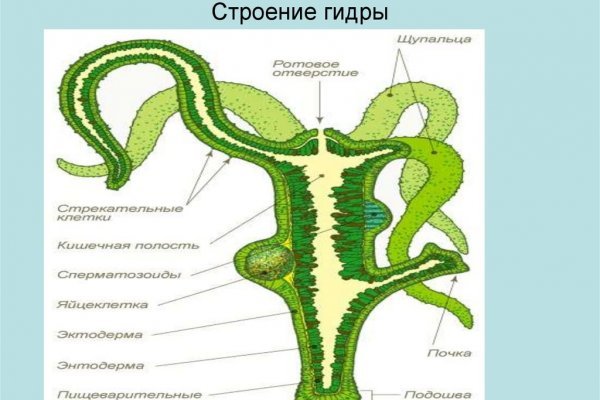 Блекспрут 2fa blacksprut cam blacksprut2web in